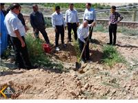 روز درختکاری 1401