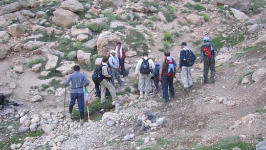 تیم کوهنوری 1