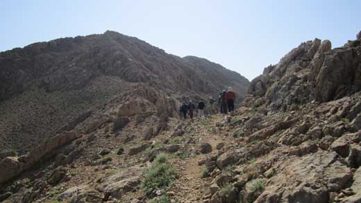 تیم کوهنوری 2