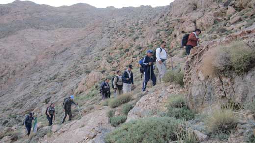 تیم کوهنوری 5