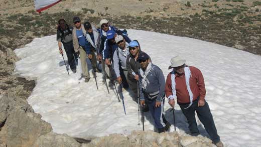 تیم کوهنوری 7