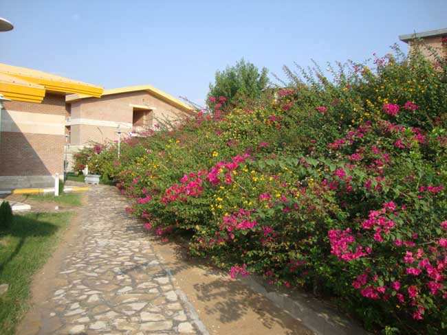 صرفه جویی در مصرف آب 3
